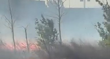Bursa'da fabrikanın yanındaki arazide korkutan yangın