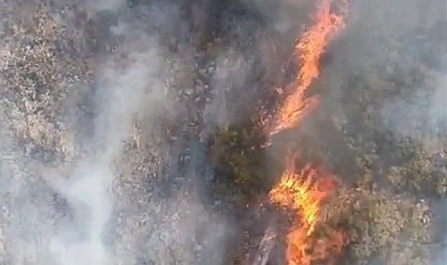 Bursa'da orman yangını...Havadan karadan yoğun müdahale başladı