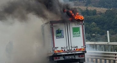 Bursa'da seyir halindeki kamyonet alevlere teslim oldu
