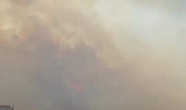 Bursa'da tarım alanlarındaki yangına itfaiye ve ormandan seri müdahale