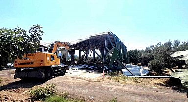Bursa'da zeytinliğe yapılan kaçak depo böyle yıkıldı
