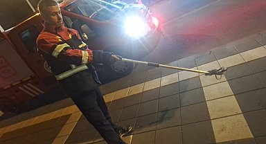 Cami bahçesine giren yılan itfaiye ekiplerince yakalandı