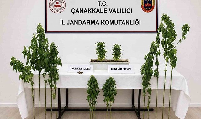 Çanakkale'de 3 ilçede uyuşturucu operasyonu