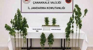 Çanakkale'de 3 ilçede uyuşturucu operasyonu