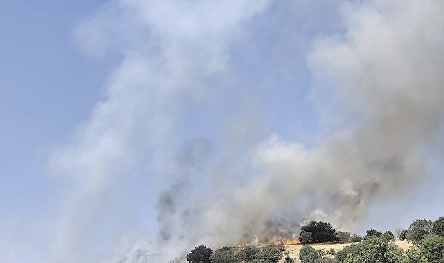 Çermik'te korkutan yangın: Alevler yerleşim yerlerine ulaşmadan söndürüldü