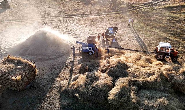Çiftçiler patoza başladı, masalsı görüntüler ortaya çıktı