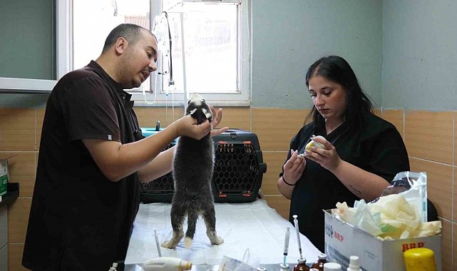 Çiftlikköy Belediyesi'nden yüzlerce can dosta destek sağlandı