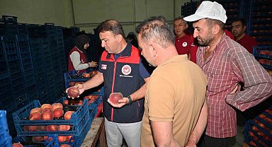 Çivril'de şeftalinin üretimden pazarlamaya yolculuğu incelendi