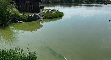 Çorlu Gölbaşı Parkı'nda alg alarmı: Gölette çalışma başlatıldı