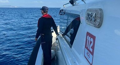 Datça'da bir şahsı deniz kaplumbağasının ısırdığı iddiası