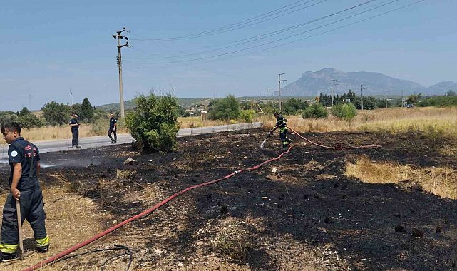 Datça'da kuru ot yangını büyümeden söndürüldü