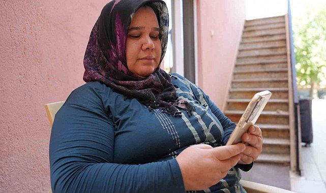 Denizli'de sokak hayvanlarının zehirlenerek öldürüldüğü iddiası