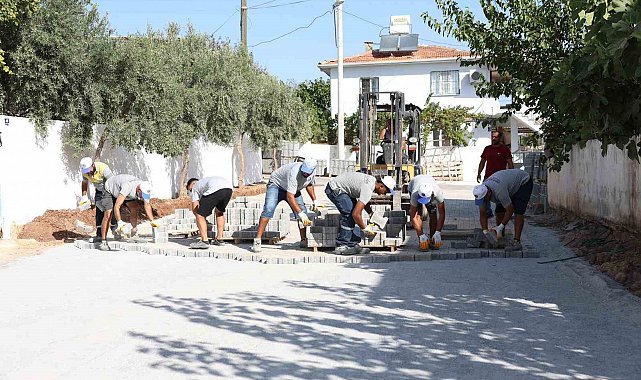 Didim Belediyesi'nden Denizköy'de kapsamlı çalışma