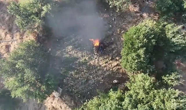 Diyarbakır'da 5,7 ton toz esrar elde edilebilecek kök kenevir ve skunk imha edildi