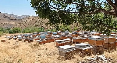 Diyarbakır'da bal sağımı başladı