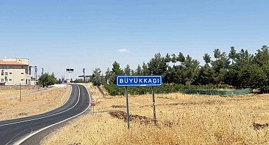 Diyarbakır'da kedinin ısırdığı çocuk entübe edildi, testlerde kuduz çıktı