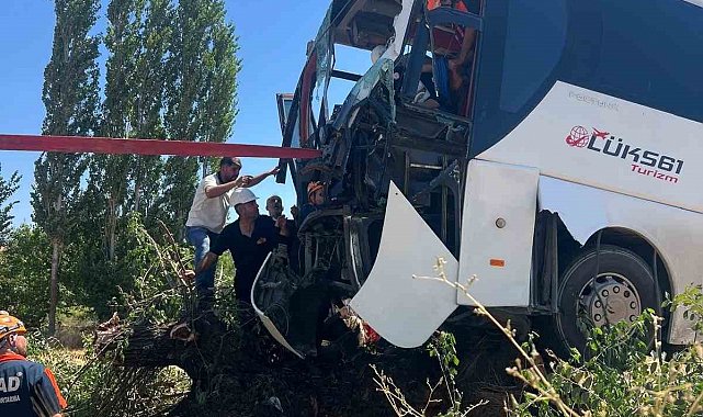 Diyarbakır'da yolcu otobüsü ağaca çıktı: 2 yaralı