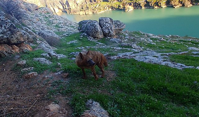 Doğal yaşamı bozanlara 5 Milyon TL'ye kadar ceza