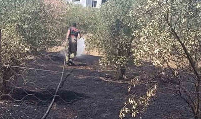 Dörtyol'da bahçe yangını kontrol altına alındı