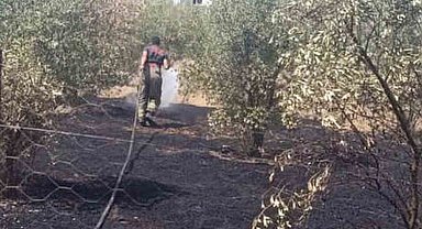 Dörtyol'da bahçe yangını kontrol altına alındı
