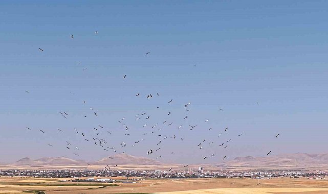 Düden Gölü'nde leyleklerin dansı havadan görüntülendi