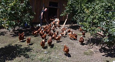 Dükkanını kapattı, köyünde hobi olarak başladığı tavukçulukta müşterilere yetişemiyor