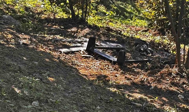 Düzce'de fındık bahçesine şüpheli bir cisim düştü
