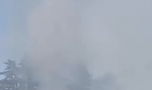 Düzce'de orman yangını kısa sürede söndürüldü