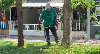 Efeler'de yeşil alanların bakımı sürüyor
