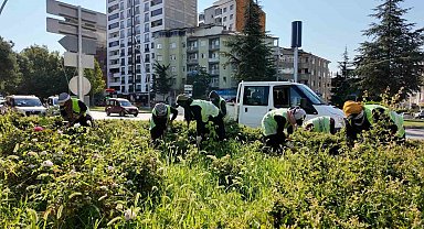 Elazığ Belediyesi, kent genelinde çalışmalarını sürdürüyor