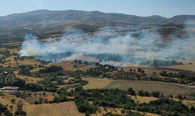 Elazığ'da anız ve bahçe yangını