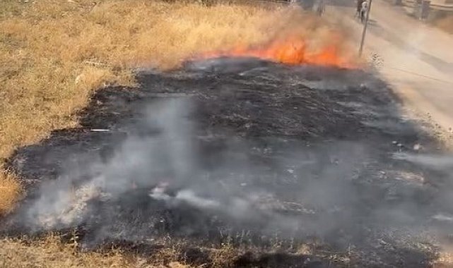 Elazığ'da otluk alanda çıkan yangın söndürüldü