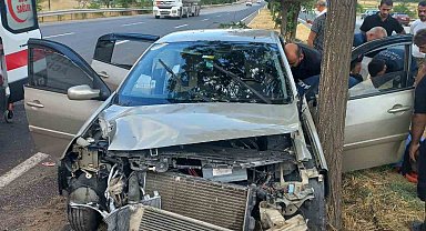 Elazığ'da otomobil ağaca çarptı: 4 yaralı