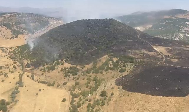 Elazığ'daki orman yangını kontrol altına alındı