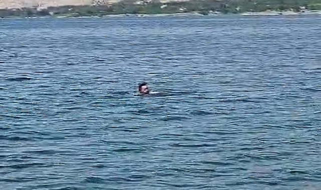 Elazığ'dan Malatya'ya yüzerek geçti