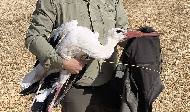 Elektrik akımına kapılan eşinin başından 5 gün ayrılmadı