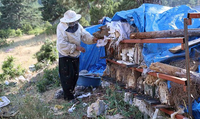 Emekli imam, Toroslar'ın zirvesinde arılarla doğal hayatı seçti