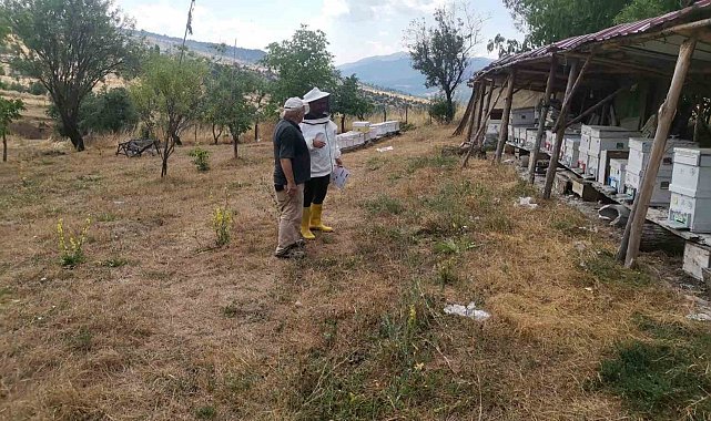 Emet'te arılı kovan tespit çalışması