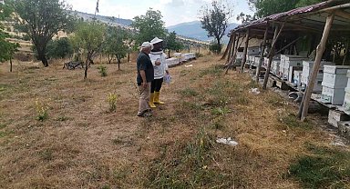 Emet'te arılı kovan tespit çalışması