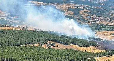 Emet'te ormanlık alana sıçrayan yangın kontrol altına alındı