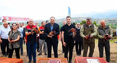 Erbaa Belediyesi'nden keneyle mücadeleye halkalı sülün ve kekliklerle destek