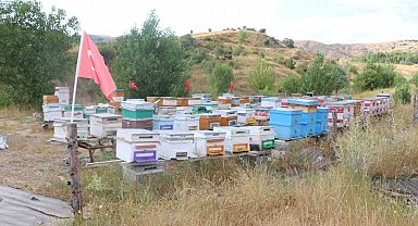 Erzincan'da arıcılık ve vatan sevgisi aynı arılıkta buluştu
