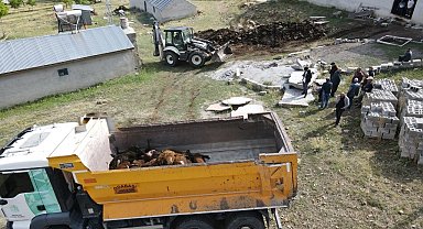 Erzincan'da ayı dehşeti: Ağıla ayı girdi, 144 küçükbaş hayvan telef oldu