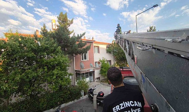 Erzincan'da çatıdaki kedi itfaiye ekiplerince kurtarıldı