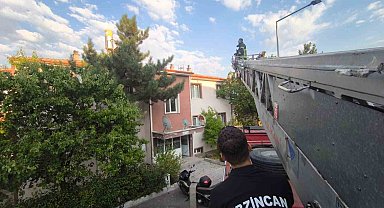 Erzincan'da çatıdaki kedi itfaiye ekiplerince kurtarıldı