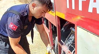 Eskişehir'de alevlerin arasında kalan kaplumbağayı itfaiye kurtardı