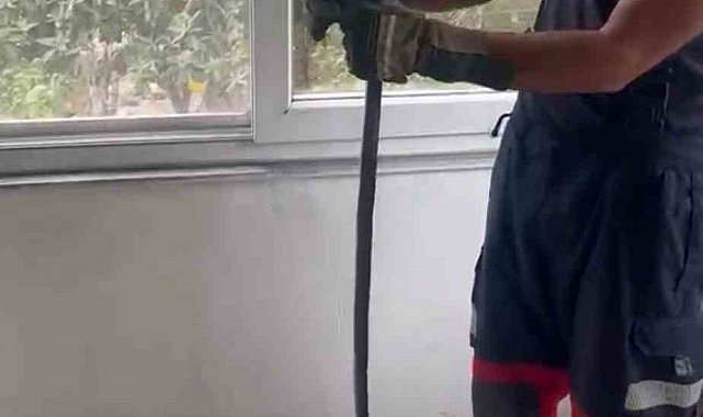 Eve giren yılan pencere arasına sıkıştı