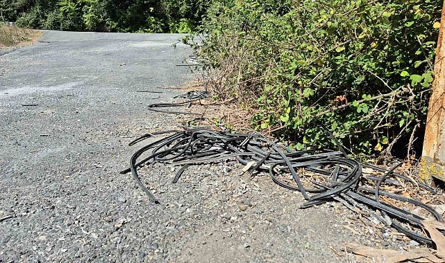 Eyüpsultan'da 20 ailenin yaşadığı sokağa bir kamyon atık döküp kaçtı