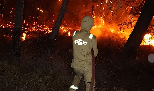 Fethiye'deki orman yangını kontrol altına alındı