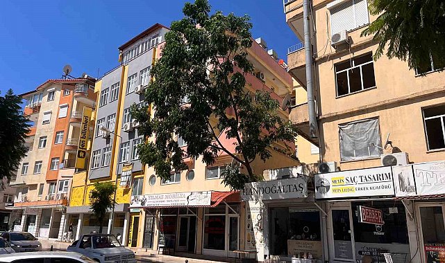 Fırtınanın devirdiği ağaç nedeniyle yol trafiğe kapatıldı